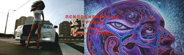 2c-b Алексин